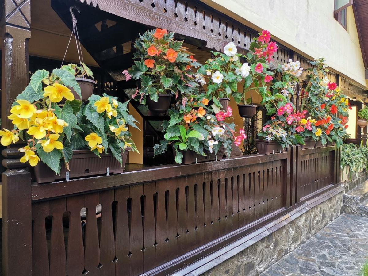 Shelby Accommodation -Adult Only- Sinaia Esterno foto
